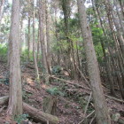 登り石塁