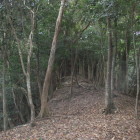 虎口に向かう崖脇通路