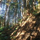 主曲輪北側の切岸
