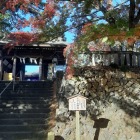 7位　唐沢山城