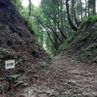 4位　明知城