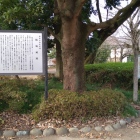 公園として立つ説明板