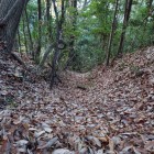 西から2本目の竪堀
