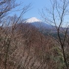 城からの富士山