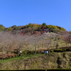 城址を望む