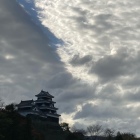 対岸から