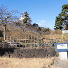 三日月掘近辺から見る天守閣