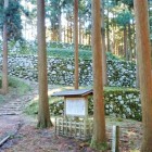 桜馬場石垣