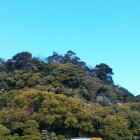 城山遠景