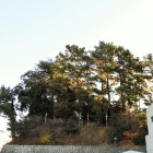 曳馬古城址遠望