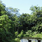 高校北西側(この上に土塁と空堀？)