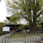 多宝搭
