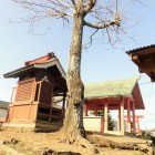 末廣稲荷神社