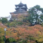 霞ヶ城公園から見上げる天守