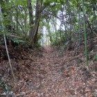 登城路