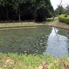 田尻の池