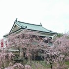 北櫓と桜