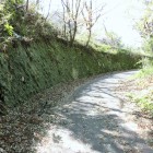 苔むした石垣