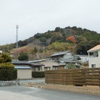 井伊谷城遠望