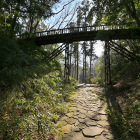 木橋