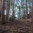 主郭と南の曲輪間の堀切