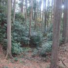 副郭北下の横堀（内側）と土塁
