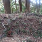 副郭西辺土塁内周の石積み