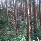 副郭西下の切岸