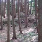 副郭の一段上が主郭