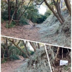 二宮報徳神社と遊園地の間あたり