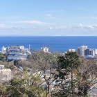 城山公園よりの眺望