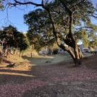 早川口遺構