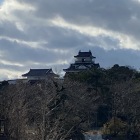 引馬曲輪からみた天守