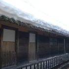 足軽長屋屋根の積雪状況