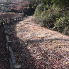 本丸の北側土塁、周囲にぐるっと廻ってる