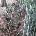 同左、中仕切り門土塁東側より外側石垣見る
