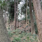 土塁（主郭東側から）