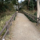 土橋と土塁