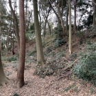 土塁（主郭東側から）
