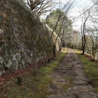 東側　桜の馬場