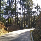 登城路となっている堀切