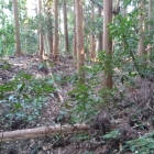 堀底から主郭への土橋を