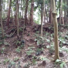 竜貝城の堀切を見上げる
