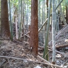 南側は二重になる空堀