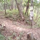 堀切にかかる土橋
