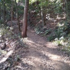 東登城口から登って行きます
