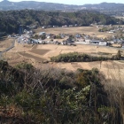 三の丸は水田に