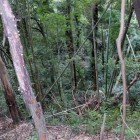 下は3郭