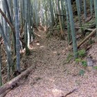 星宮大神から虎口へ至る道
