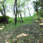 主郭全景